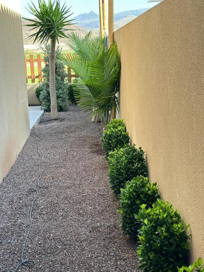 Golf Tenerife South XX Wheel Accessible Shower XX Free Wifi XX Private Pool 30 Degrees XX Two Terraces 30M2X60M2 Xxfree Parking XX Mountain View XX Flatscreen 65 Inch XX Сан Мигел де Абона Екстериор снимка